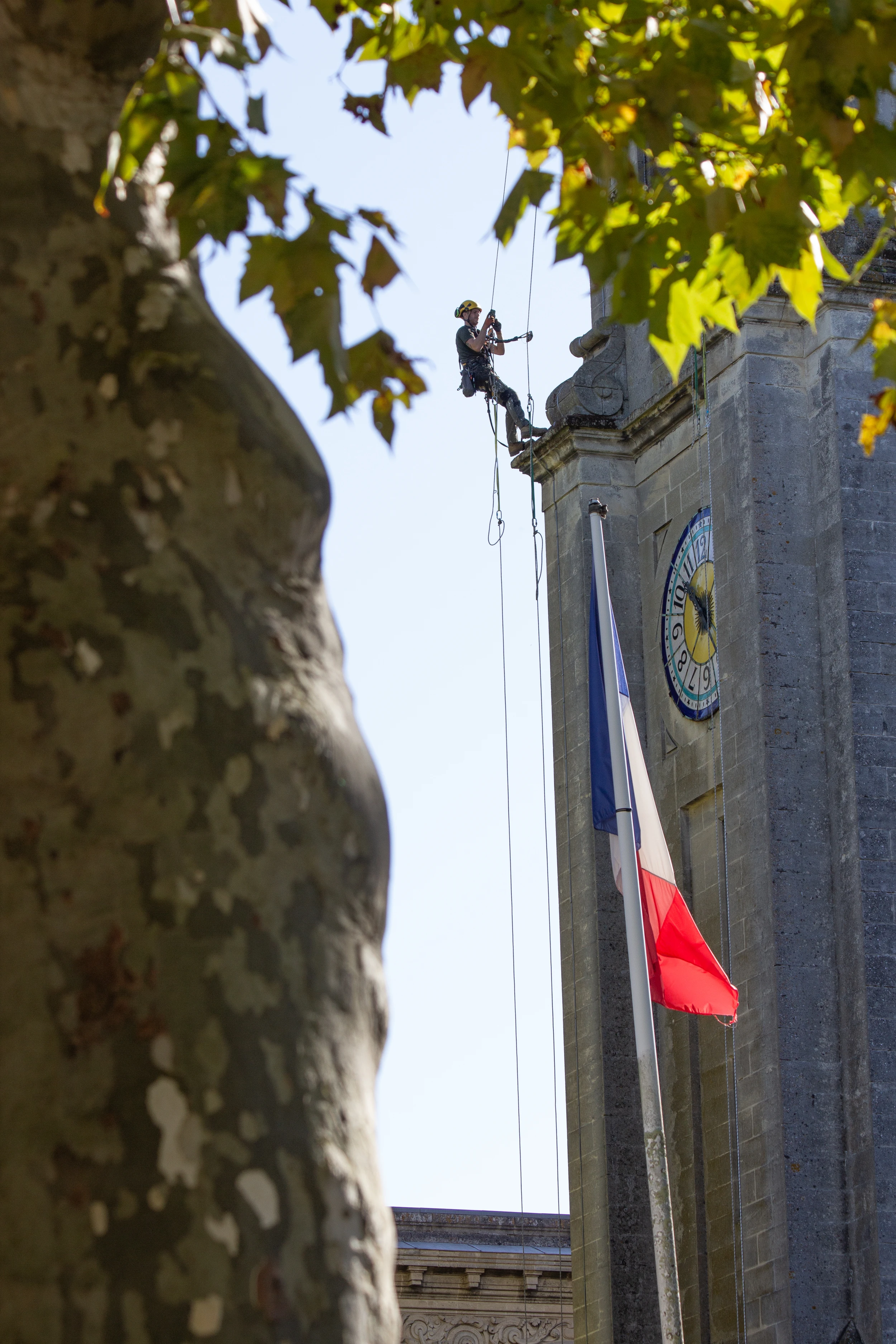 Intervention de cordistes MS Access pour les cloches sonnent chez ALIENOR INGENIERIE NA (RINCENT) à Bordeaux (bâtiment) – 5
